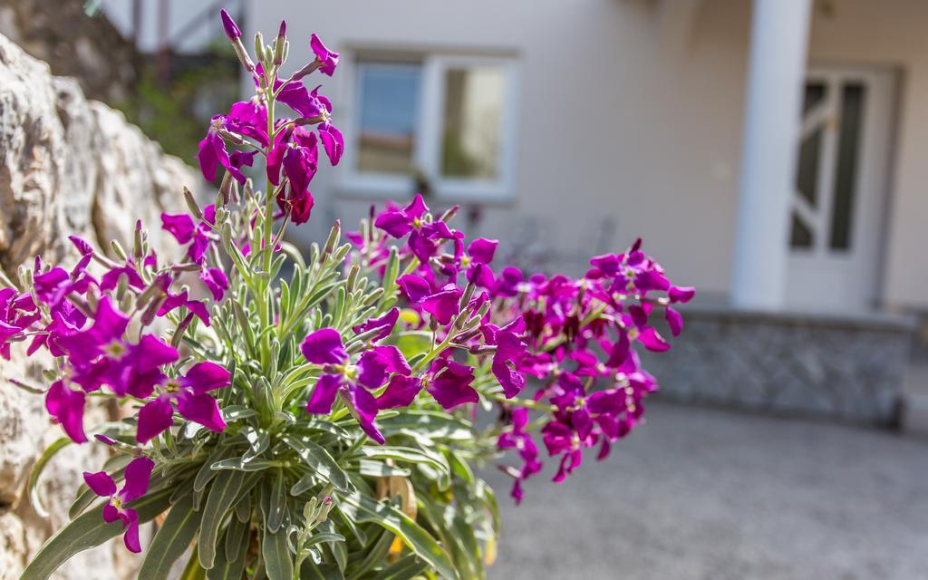 Appartement Ana